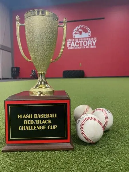 Gold cup Flash baseball Red/Black Challenge cup trophy next to baseballs